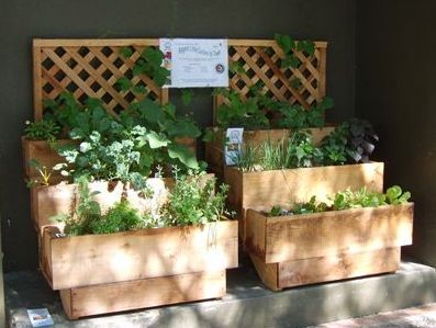 patio-veggie-garden-00_9 Вътрешен двор зеленчукова градина