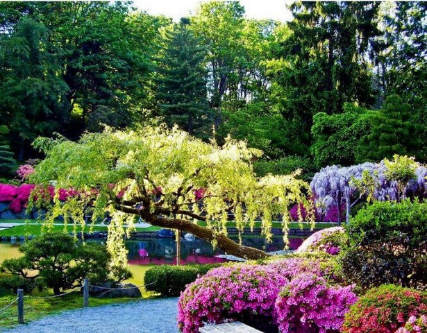 pictures-of-beautiful-gardens-40_4 Снимки на красиви градини