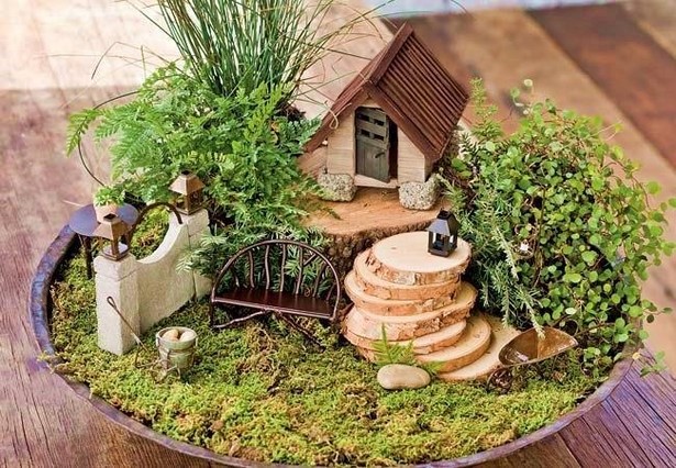 pictures-of-miniature-gardens-91_13 Снимки на миниатюрни градини