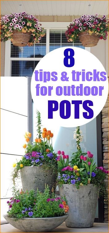 plant-pot-ideas-for-the-patio-41_12 Идеи за саксии за вътрешния двор