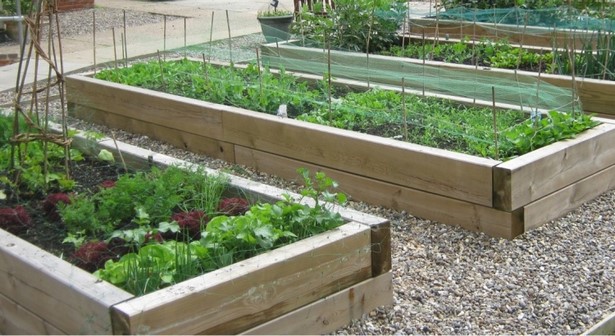 raised-bed-for-vegetable-garden-70_11 Повдигнато легло за зеленчукова градина