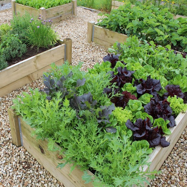 raised-bed-for-vegetable-garden-70_18 Повдигнато легло за зеленчукова градина