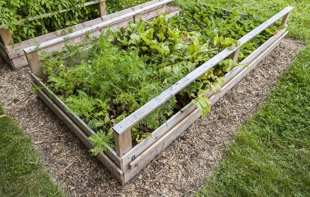 raised-bed-for-vegetable-garden-70_4 Повдигнато легло за зеленчукова градина
