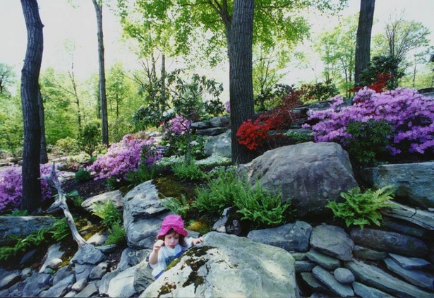 rock-gardens-landscaping-47_5 Алпинеуми озеленяване