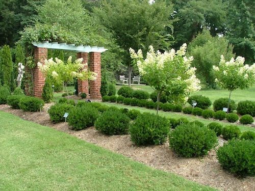 shrub-landscaping-ideas-79_9 Идеи за озеленяване на храсти