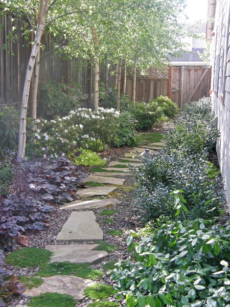 side-yard-landscaping-00_16 Страничен двор озеленяване