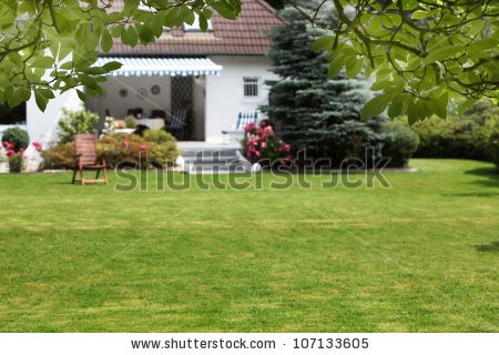 small-house-garden-images-90_15 Малка къща градина снимки