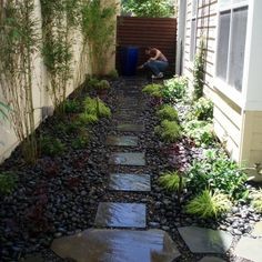 small-side-yard-landscaping-ideas-48_14 Малък страничен двор идеи за озеленяване