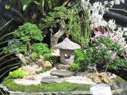 tropical-fairy-garden-92_14 Тропическа приказна градина