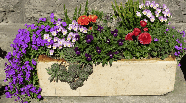 annual-flower-planter-designs-84 Годишен цвете плантатор дизайни
