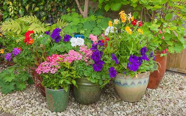 annual-flower-pot-arrangements-75_13 Годишни саксии за цветя