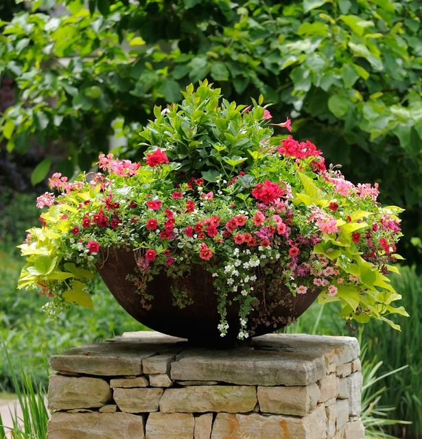 annual-flower-pot-arrangements-75_17 Годишни саксии за цветя