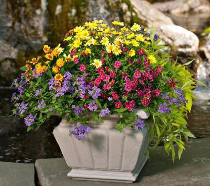 annual-flower-pot-designs-69 Годишни цветни саксии дизайни
