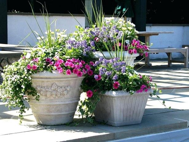 annual-flower-pot-designs-69_18 Годишни цветни саксии дизайни