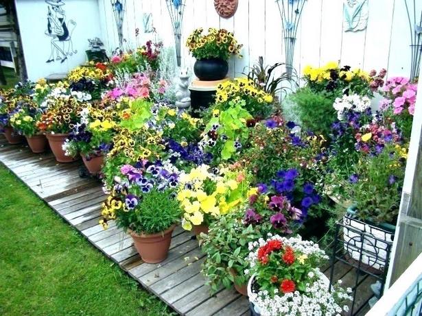 annual-flower-pot-designs-69_7 Годишни цветни саксии дизайни