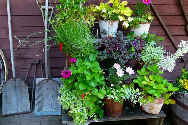 beautiful-container-garden-ideas-22_2 Красиви контейнерни градински идеи