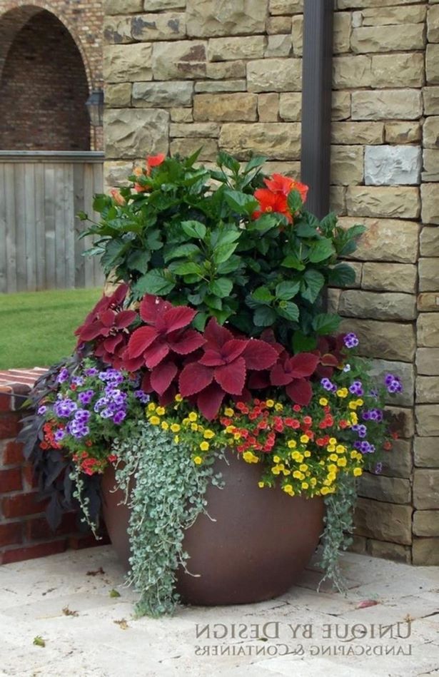 beautiful-flower-pot-arrangements-65 Красиви саксии за цветя
