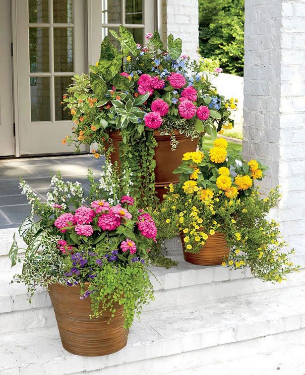 beautiful-flower-pot-arrangements-65_3 Красиви саксии за цветя