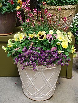 beautiful-flower-pot-arrangements-65_4 Красиви саксии за цветя