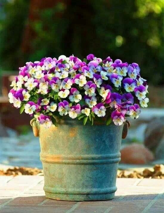 beautiful-garden-flower-pot-75_13 Красива градинска саксия