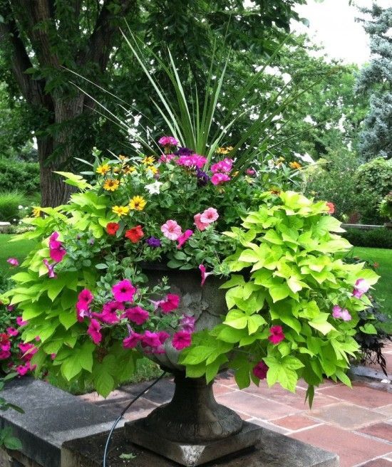 beautiful-garden-flower-pot-75_14 Красива градинска саксия