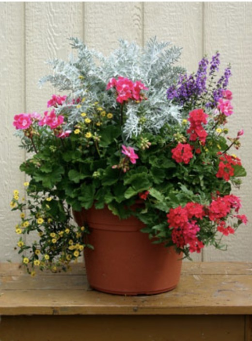 beautiful-outdoor-flower-pot-arrangements-07_12 Красиви външни саксии за цветя