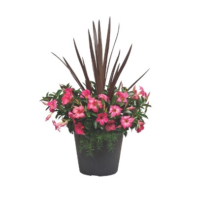 beautiful-outdoor-flower-pot-arrangements-07_16 Красиви външни саксии за цветя