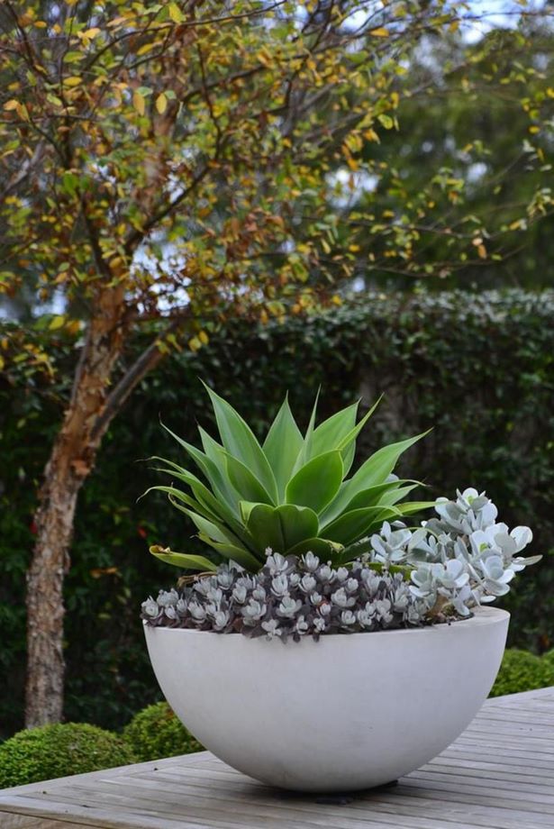 beautiful-outdoor-pots-16 Красиви саксии на открито