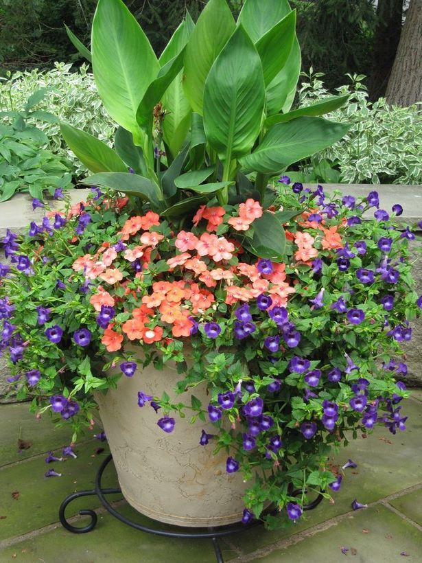 beautiful-outdoor-pots-16_10 Красиви саксии на открито