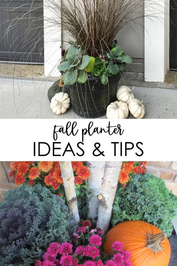 beautiful-planter-ideas-55_7 Красиви идеи за плантатори