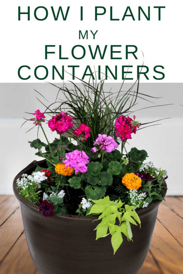 best-flowers-for-container-gardening-17 Най-добрите цветя за контейнер градинарство