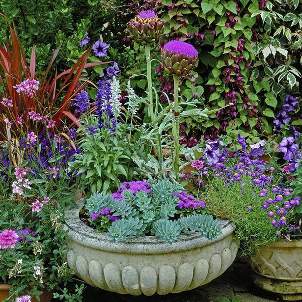 best-flowers-for-container-gardening-17_2 Най-добрите цветя за контейнер градинарство