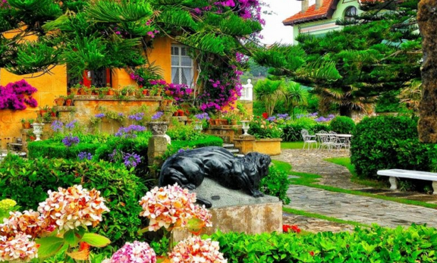 best-garden-images-62 Най-добрите градински снимки