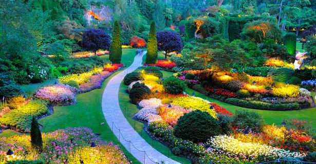 best-garden-images-62_12 Най-добрите градински снимки