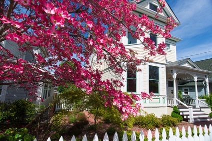 best-landscaping-for-front-of-house-29_8 Най-доброто озеленяване за предната част на къщата