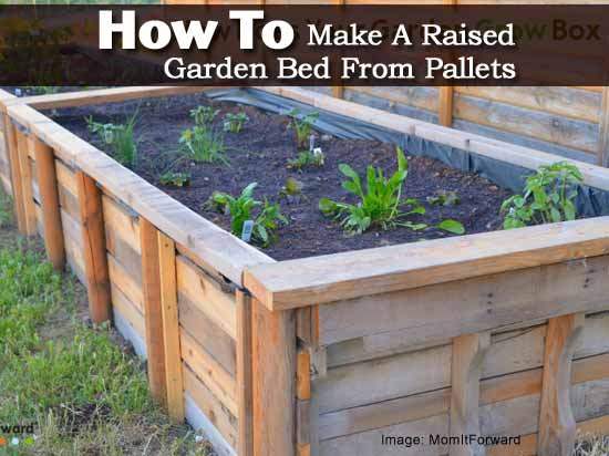 best-way-to-make-a-raised-garden-bed-11_16 Най-добрият начин да направите повдигнато градинско легло