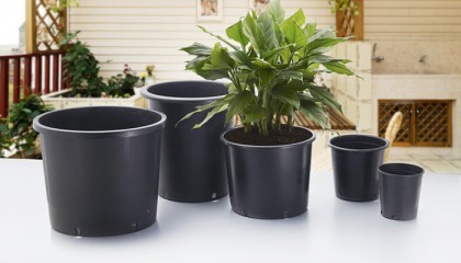 big-plant-pots-49_12 Големи саксии