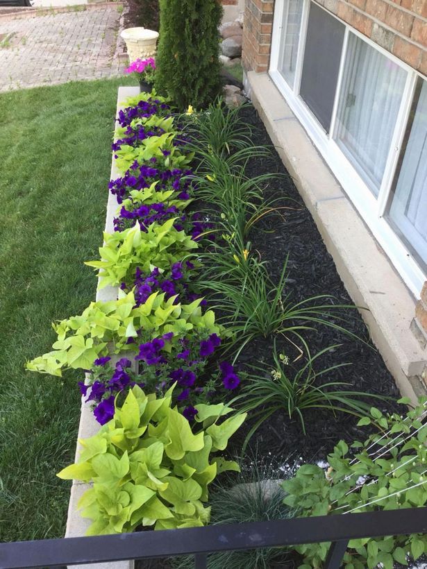 colorful-landscaping-ideas-for-front-yard-45 Цветни идеи за озеленяване за предния двор