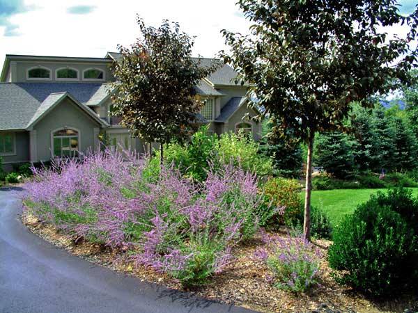 colorful-landscaping-ideas-for-front-yard-45_14 Цветни идеи за озеленяване за предния двор