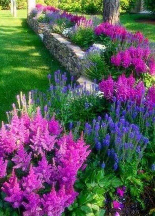 colorful-landscaping-ideas-for-front-yard-45_4 Цветни идеи за озеленяване за предния двор