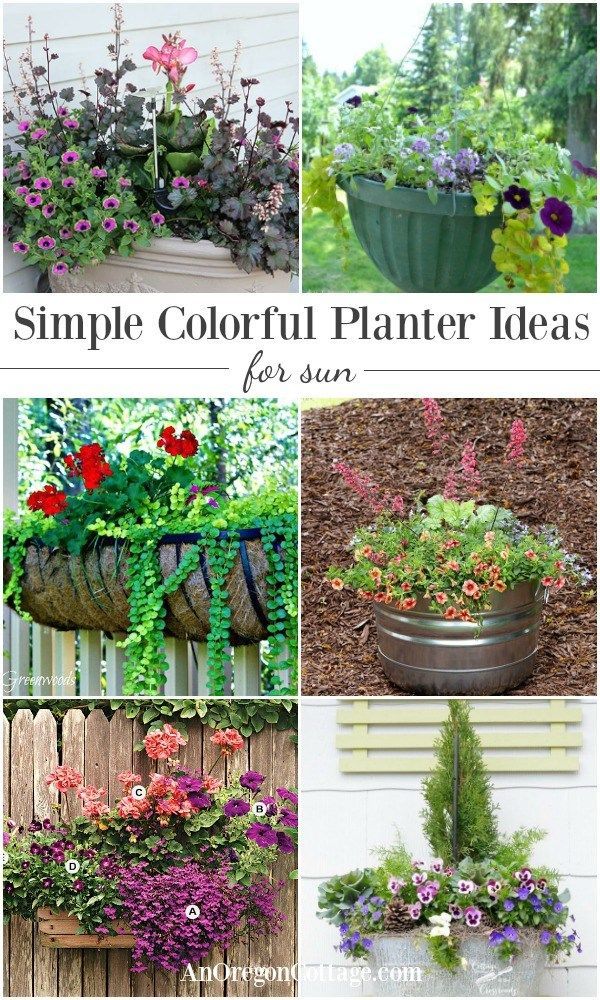 colorful-planter-ideas-37_11 Цветни идеи за плантатори