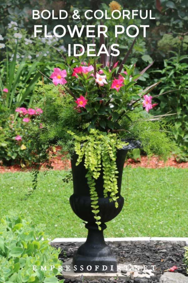 colorful-planter-ideas-37_14 Цветни идеи за плантатори