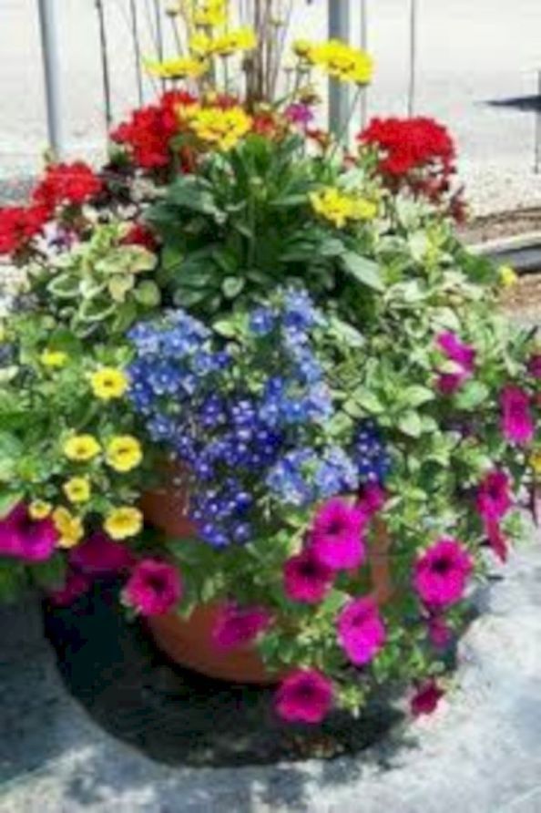 colorful-planter-ideas-37_9 Цветни идеи за плантатори