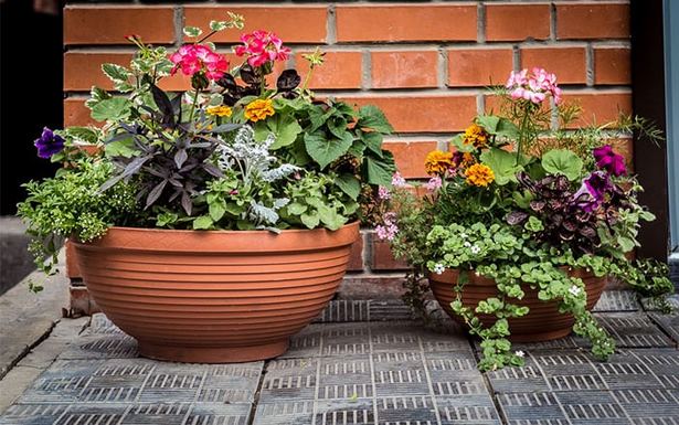 container-flower-planting-ideas-41 Контейнер цвете засаждане идеи