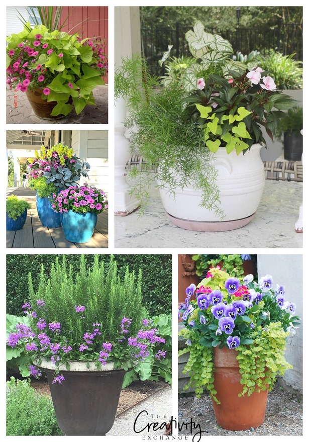 container-planting-ideas-for-spring-76_10 Идеи за засаждане на контейнери за пролетта