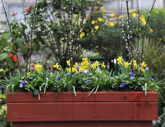 container-planting-ideas-for-spring-76_18 Идеи за засаждане на контейнери за пролетта