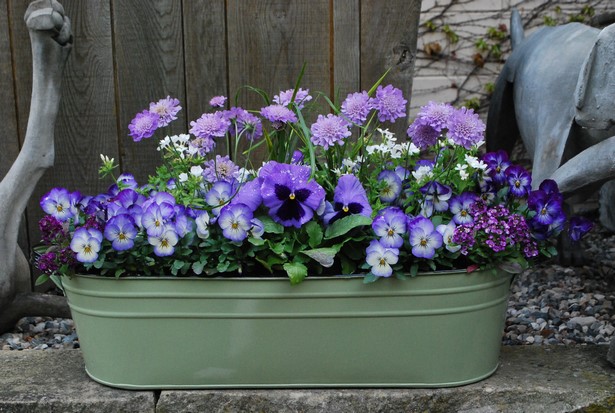 container-planting-ideas-for-spring-76_7 Идеи за засаждане на контейнери за пролетта