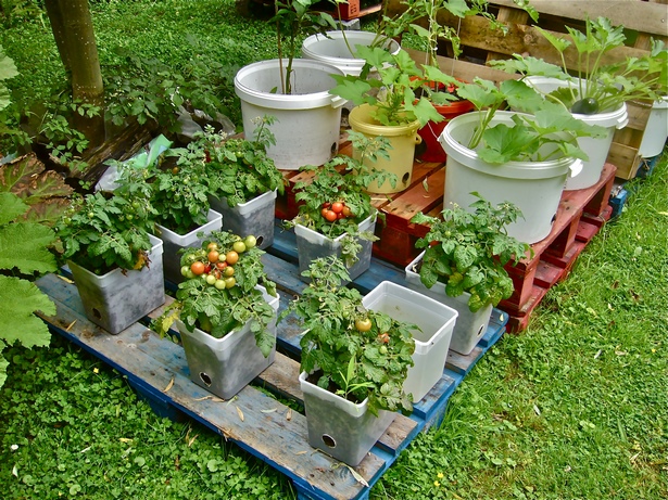 Контейнери за градински растения