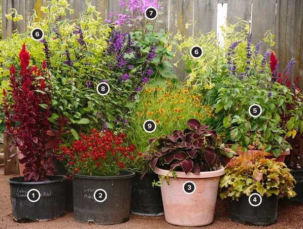containers-for-garden-plants-98_18 Контейнери за градински растения