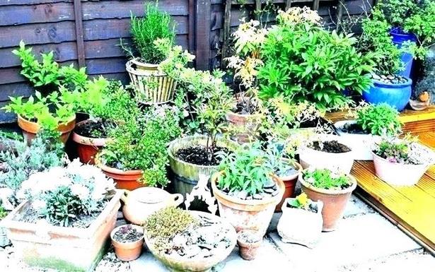 containers-for-garden-plants-98_5 Контейнери за градински растения